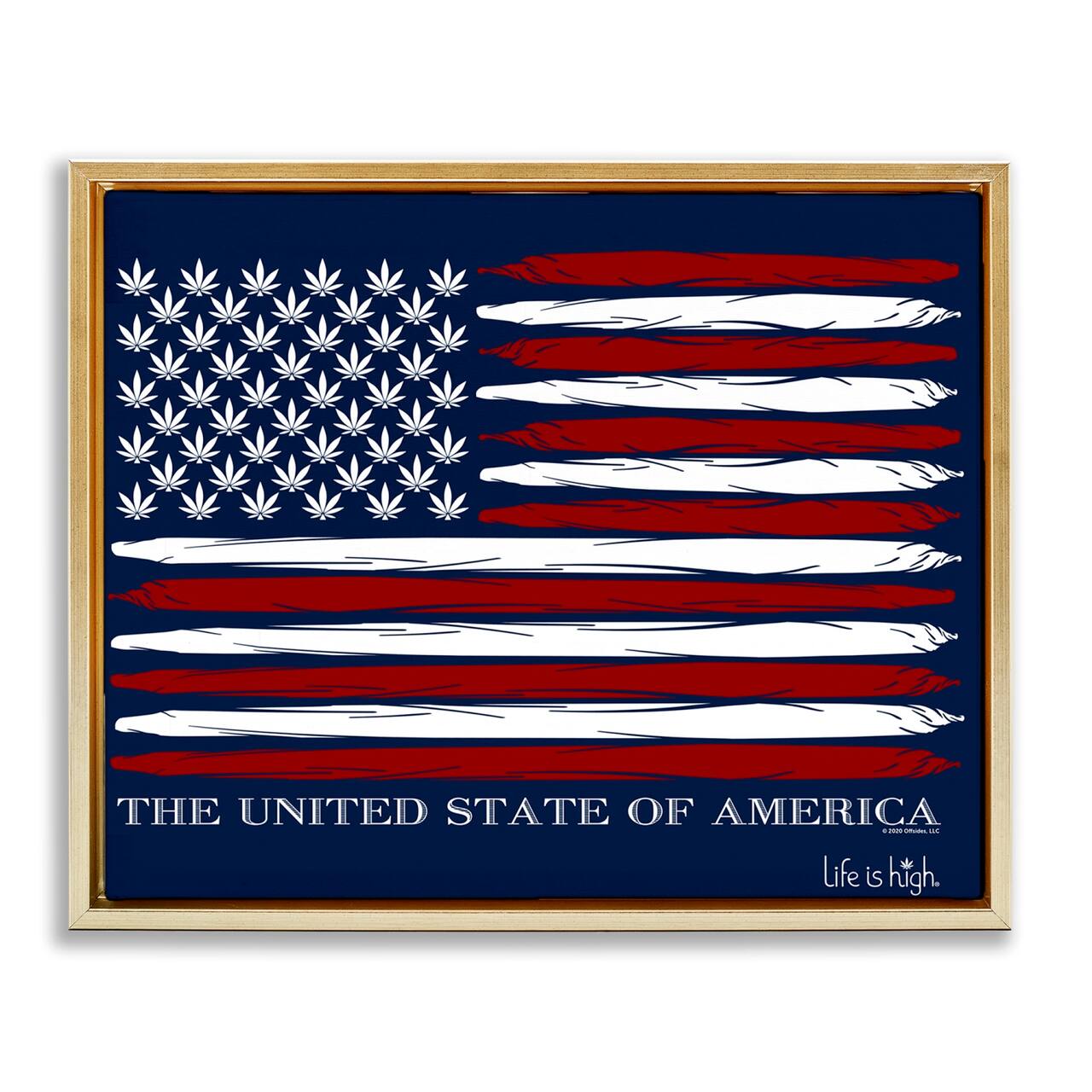 Stupell Industries Herb America Flag Floater Framed Art